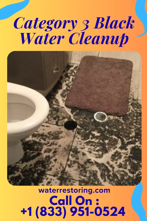 Category 3 Black Water Cleanup in Richfield, ID
